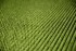 Покрытие щетинистое в ковриках 45х60см. зеленый(Kovroff)